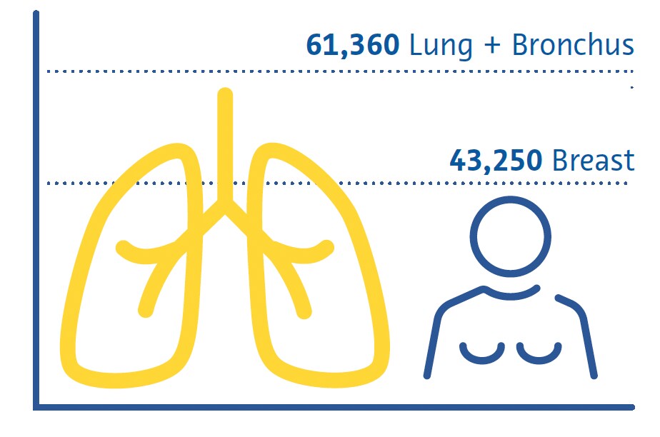 Lung Cancer Lung Cancer